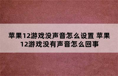 苹果12游戏没声音怎么设置 苹果12游戏没有声音怎么回事